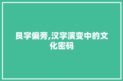 艮字偏旁,汉字演变中的文化密码 工作总结