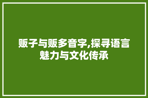 贩子与贩多音字,探寻语言魅力与文化传承