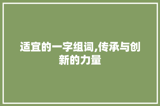 适宜的一字组词,传承与创新的力量