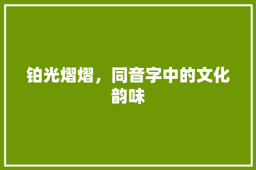 铂光熠熠，同音字中的文化韵味 国学经典