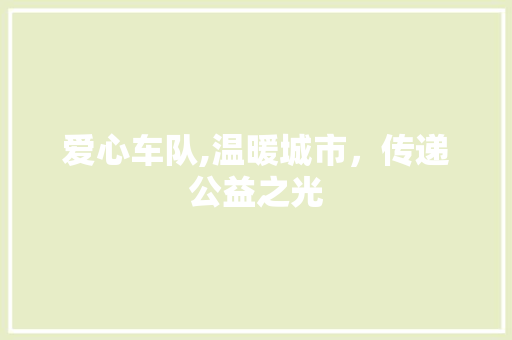 爱心车队,温暖城市，传递公益之光