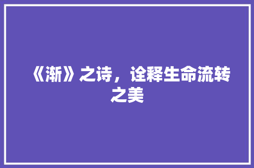 《渐》之诗，诠释生命流转之美 工作总结