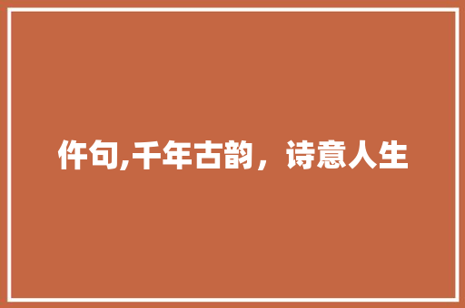 仵句,千年古韵，诗意人生