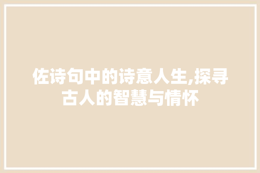 佐诗句中的诗意人生,探寻古人的智慧与情怀