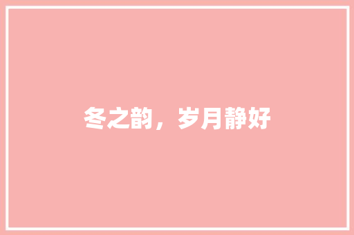 冬之韵，岁月静好