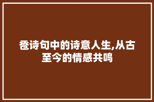 卺诗句中的诗意人生,从古至今的情感共鸣 工作总结