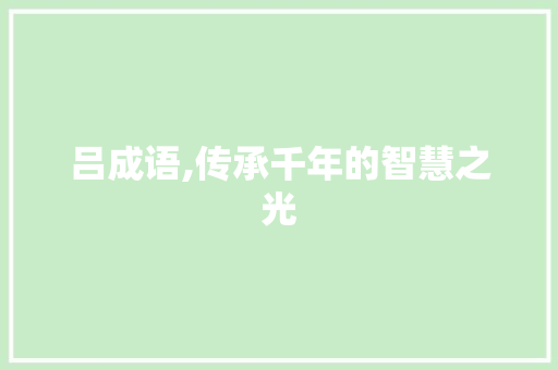 吕成语,传承千年的智慧之光