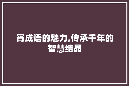 宵成语的魅力,传承千年的智慧结晶 诗词鉴赏