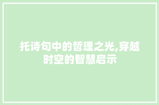 托诗句中的哲理之光,穿越时空的智慧启示