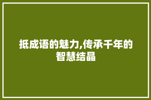 抵成语的魅力,传承千年的智慧结晶