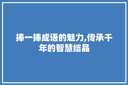 捧一捧成语的魅力,传承千年的智慧结晶