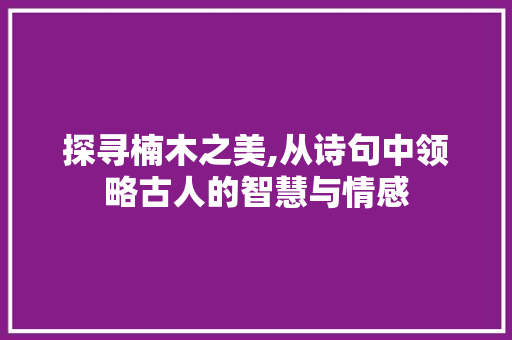 探寻楠木之美,从诗句中领略古人的智慧与情感