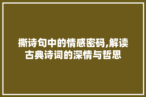 撕诗句中的情感密码,解读古典诗词的深情与哲思