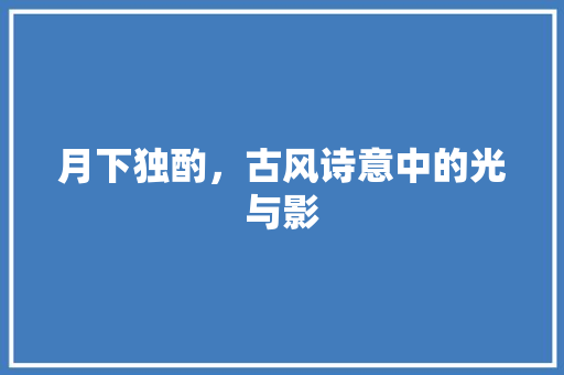 月下独酌，古风诗意中的光与影