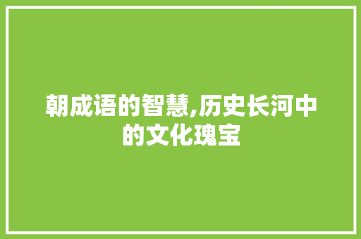 朝成语的智慧,历史长河中的文化瑰宝