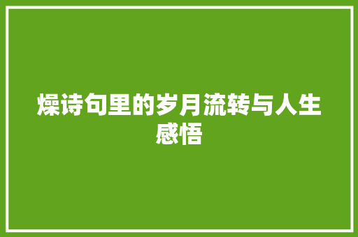 燥诗句里的岁月流转与人生感悟