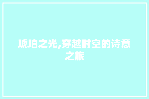 琥珀之光,穿越时空的诗意之旅