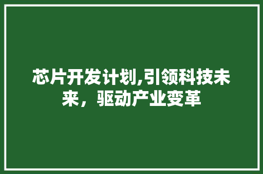 芯片开发计划,引领科技未来，驱动产业变革