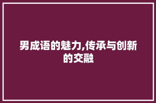 男成语的魅力,传承与创新的交融 工作总结