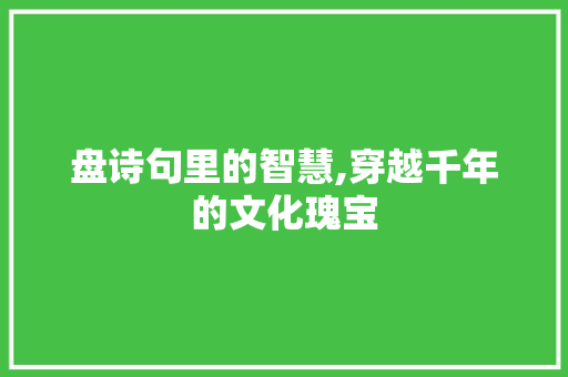 盘诗句里的智慧,穿越千年的文化瑰宝