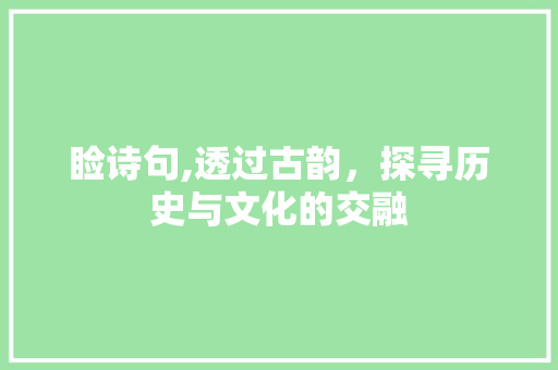 睑诗句,透过古韵，探寻历史与文化的交融