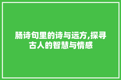 肠诗句里的诗与远方,探寻古人的智慧与情感