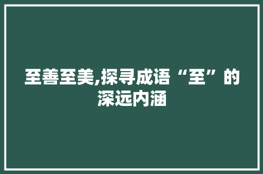 至善至美,探寻成语“至”的深远内涵