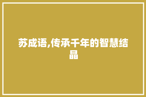 苏成语,传承千年的智慧结晶 诗词鉴赏