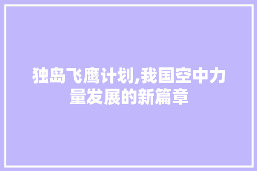 独岛飞鹰计划,我国空中力量发展的新篇章