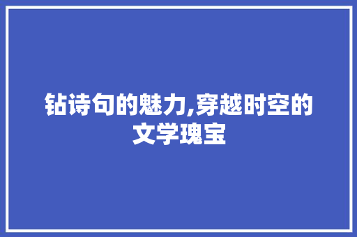钻诗句的魅力,穿越时空的文学瑰宝
