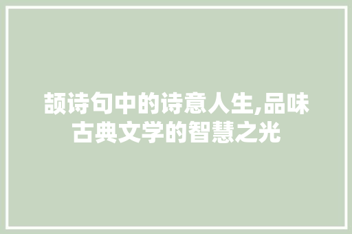 颉诗句中的诗意人生,品味古典文学的智慧之光