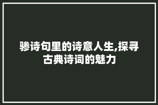 骖诗句里的诗意人生,探寻古典诗词的魅力