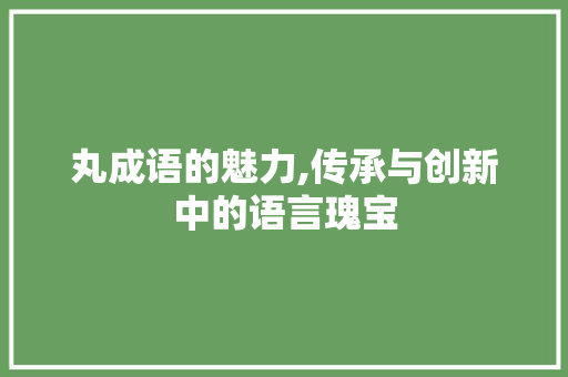 丸成语的魅力,传承与创新中的语言瑰宝 成语大全