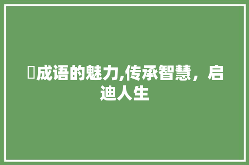 亼成语的魅力,传承智慧，启迪人生 工作计划