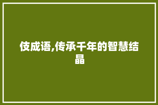 伎成语,传承千年的智慧结晶