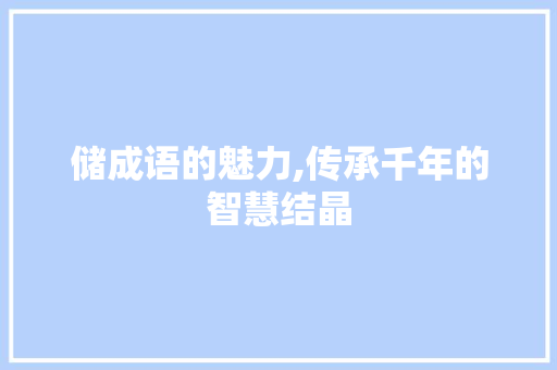储成语的魅力,传承千年的智慧结晶
