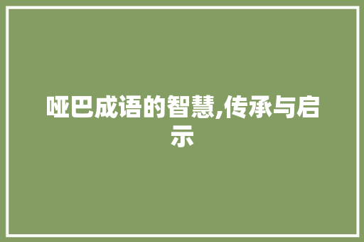 哑巴成语的智慧,传承与启示 工作计划