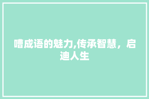 嘈成语的魅力,传承智慧，启迪人生