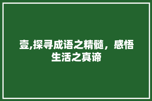 壹,探寻成语之精髓，感悟生活之真谛