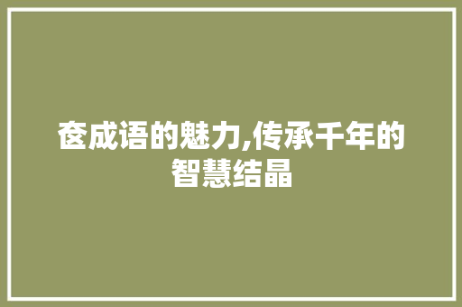 奁成语的魅力,传承千年的智慧结晶 诗词鉴赏