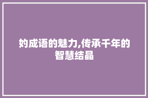 妁成语的魅力,传承千年的智慧结晶 演讲稿
