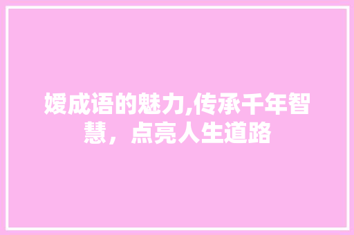 嫒成语的魅力,传承千年智慧，点亮人生道路
