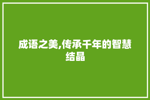 成语之美,传承千年的智慧结晶