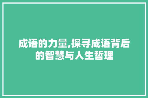 成语的力量,探寻成语背后的智慧与人生哲理 演讲稿