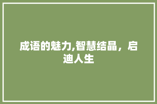成语的魅力,智慧结晶，启迪人生