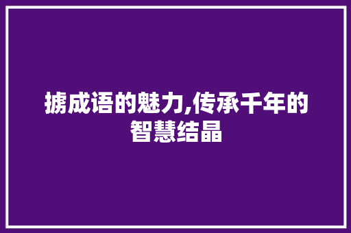 掳成语的魅力,传承千年的智慧结晶