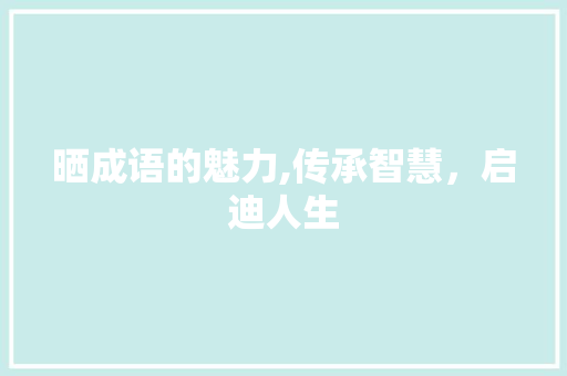 晒成语的魅力,传承智慧，启迪人生