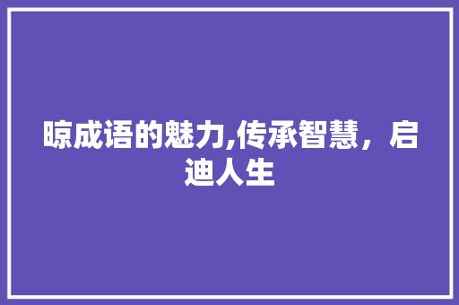 晾成语的魅力,传承智慧，启迪人生