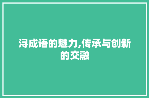 浔成语的魅力,传承与创新的交融
