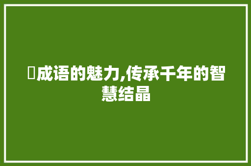 琇成语的魅力,传承千年的智慧结晶